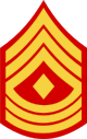Файл:CM First Sergeant.png