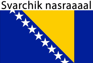 Svarchik nasraaaal.png