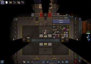 Кирка + БС сумка.jpg