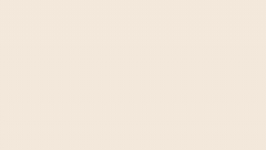Donk-Logo.gif