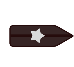 WL-погоны инспекторДСБ.png